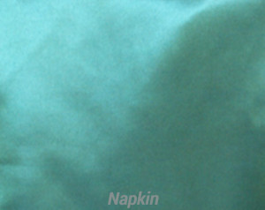 Rental Table Napkins Satin - Holly